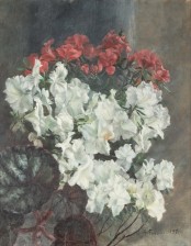 Anna af Forselles-Schybergson (1863-1942)