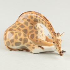 A giraf